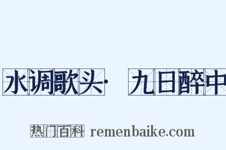 水调歌头·九日醉中是什么意思的图片